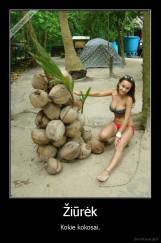 Žiūrėk - Kokie kokosai.