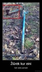 Žiūrėk kur eini - Gali veida pamesti