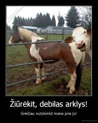 Žiūrėkit, debilas arklys! - Greičiau nutokinkit mane prie jo!