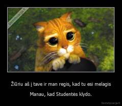 Žiūriu aš į tave ir man regis, kad tu esi melagis - Manau, kad Studentės klydo.