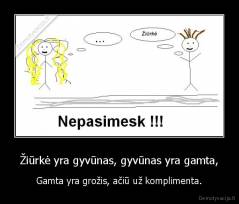 Žiūrkė yra gyvūnas, gyvūnas yra gamta, - Gamta yra grožis, ačiū už komplimenta.