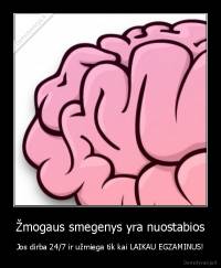 Žmogaus smegenys yra nuostabios - Jos dirba 24/7 ir užmiega tik kai LAIKAU EGZAMINUS!