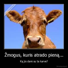 Žmogus, kuris atrado pieną... - Ką jis darė su ta karve?