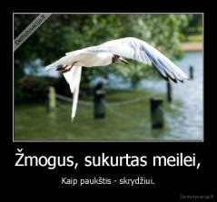 Žmogus, sukurtas meilei, - Kaip paukštis - skrydžiui.