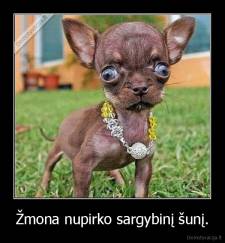 Žmona nupirko sargybinį šunį. - 