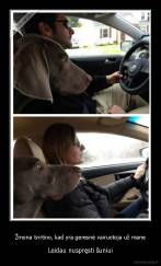 Žmona tvirtino, kad yra geresnė vairuotoja už mane - Leidau nuspręsti šuniui