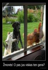 Žmonės! O pas jus viskas ten gerai? - 