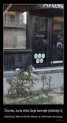 Žmonės, kurie dirbo šioje kavinėje prižiūrėjo šį - benamį šunį, dabar, kai kavinė uždaryta, jis vistiek laukia savo draugų