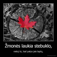 Žmonės laukia stebuklo, - vietoj to, kad patys jais taptų.