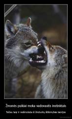 Žmonės puikiai moka vadovautis instinktais - Tačiau taip ir neišmoksta iš žinduolių ištikimybės teorijos