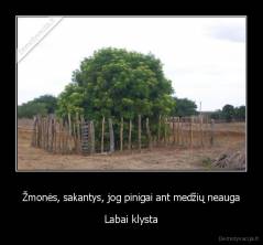 Žmonės, sakantys, jog pinigai ant medžių neauga - Labai klysta