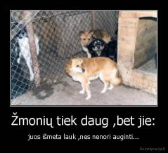 Žmonių tiek daug ,bet jie: - juos išmeta lauk ,nes nenori auginti...