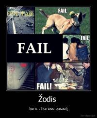 Žodis  - kuris užkariavo pasaulį