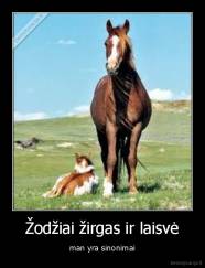 Žodžiai žirgas ir laisvė - man yra sinonimai