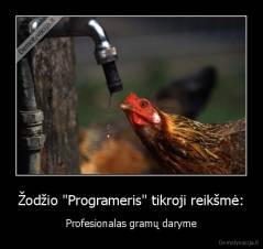 Žodžio "Programeris" tikroji reikšmė: - Profesionalas gramų daryme