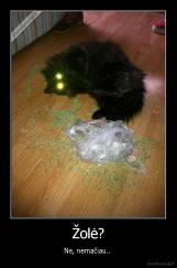 Žolė? - Ne, nemačiau.. 