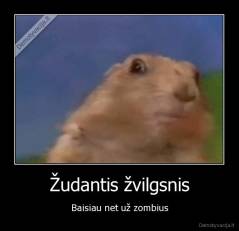 Žudantis žvilgsnis - Baisiau net už zombius