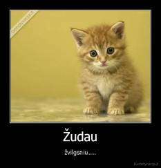 Žudau - žvilgsniu....