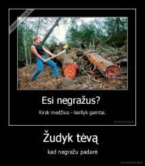 Žudyk tėvą  - kad negražu padarė