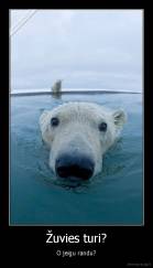 Žuvies turi? - O jeigu randu?