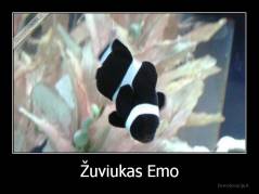 Žuviukas Emo - 