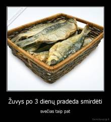 Žuvys po 3 dienų pradeda smirdėti - svečias taip pat
