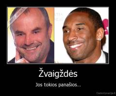 Žvaigždės - Jos tokios panašios...