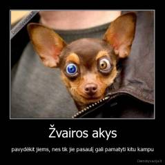 Žvairos akys - pavydėkit jiems, nes tik jie pasaulį gali pamatyti kitu kampu