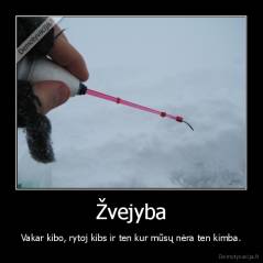 Žvejyba - Vakar kibo, rytoj kibs ir ten kur mūsų nėra ten kimba.