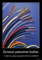 Žymiausi paskutiniai žodžiai: - - O kas bus, jeigu sujungsime šiuos du laidelius?